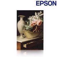 Epson Production Canvas Matte - 610 mm x 12,2 m